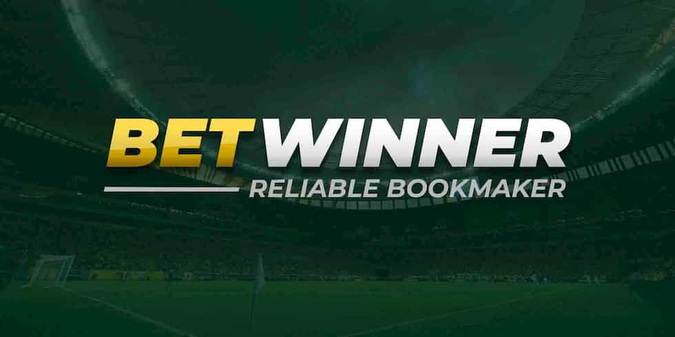 Discover the Thrills of BetWinner Casino