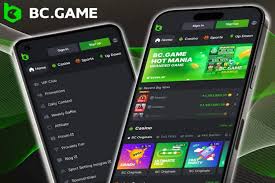 Maximize Your Winnings A Guide to BC.Game Bonuses and Promo Codes