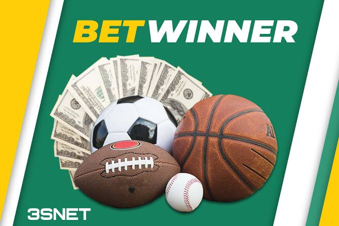 Explore the BetWinner App Your Gateway to Betting Anywhere, Anytime